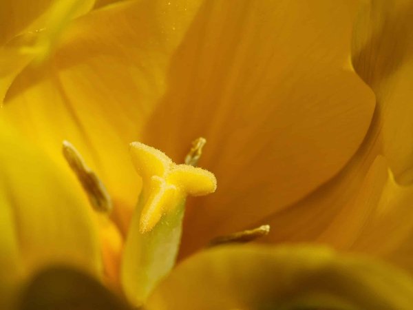 Un voyage à Annecy : une immersion dans la nature alpine et l'histoire locale