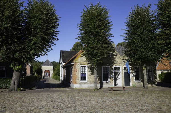Où trouver les expériences d'escalade les plus pittoresques dans le parc national de Yosemite, USA ?